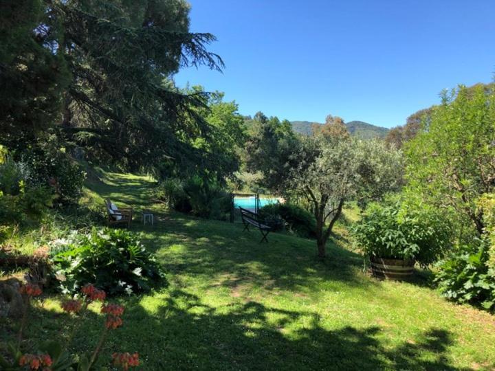 Bed And Breakfast La Maison De Nathalie Les Mayons エクステリア 写真