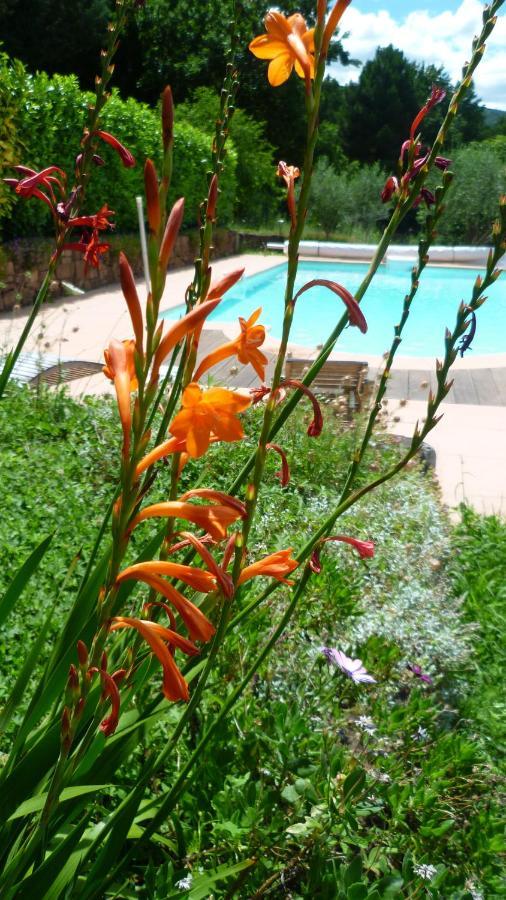 Bed And Breakfast La Maison De Nathalie Les Mayons エクステリア 写真